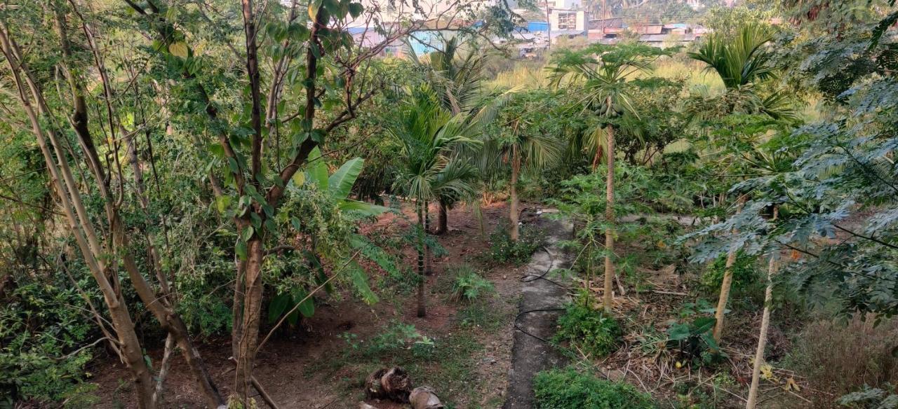 Gulmohar Cottages - Home Stay In Alībāg Exterior foto